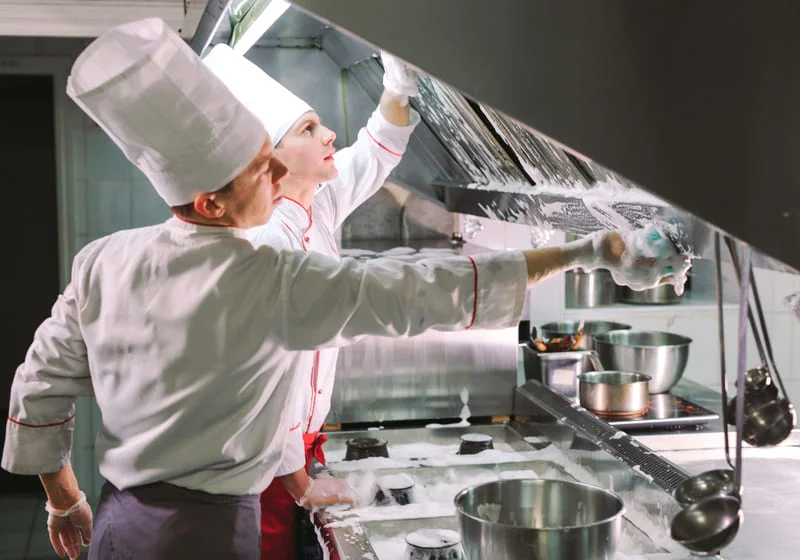 Fibra de limpeza: benefícios e funcionalidades