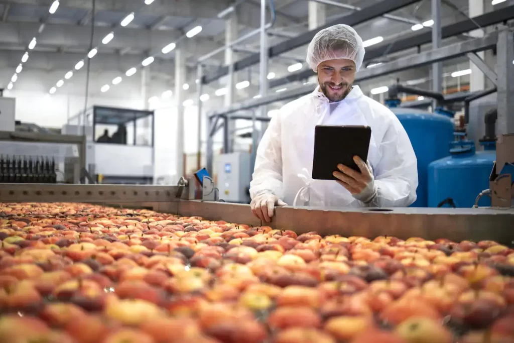 Funcionário de indústria alimentícia checando qualidade de maçãs